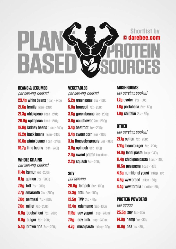Great protein source reference sheet
