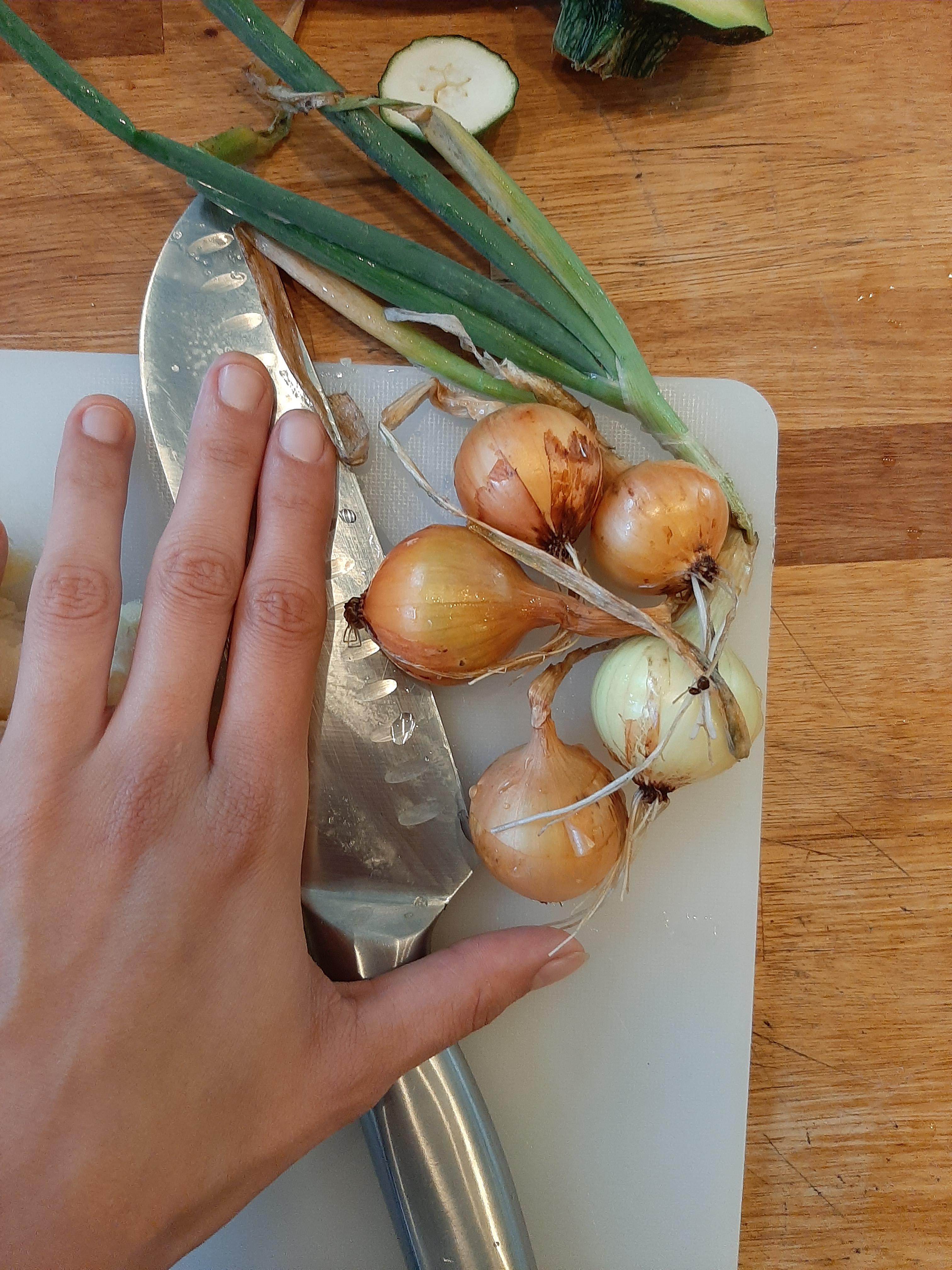 Any tips for alliums? My leeks, onions and garlic always end up tiny