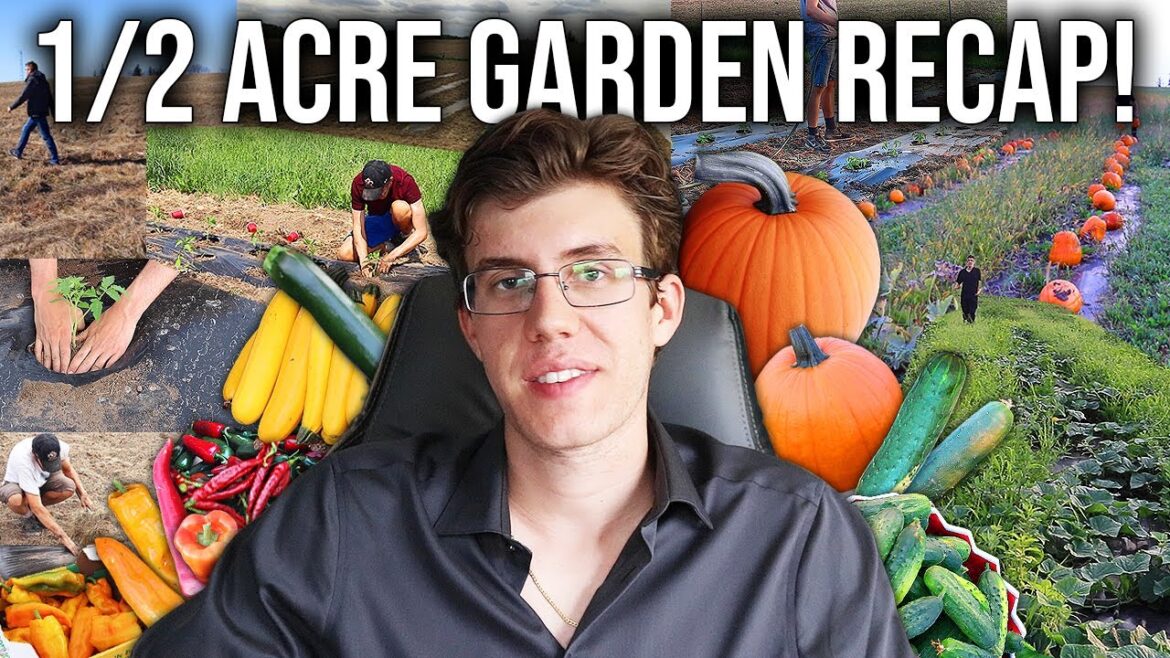 I Grew a Half Acre Vegetable Garden! (Here's What Happened) I Grew a Half Acre Vegetable Garden! (Here's What Happened)