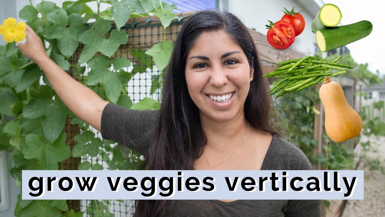 SAVE SPACE with these Trellising Vegetables Vertical Vegetable