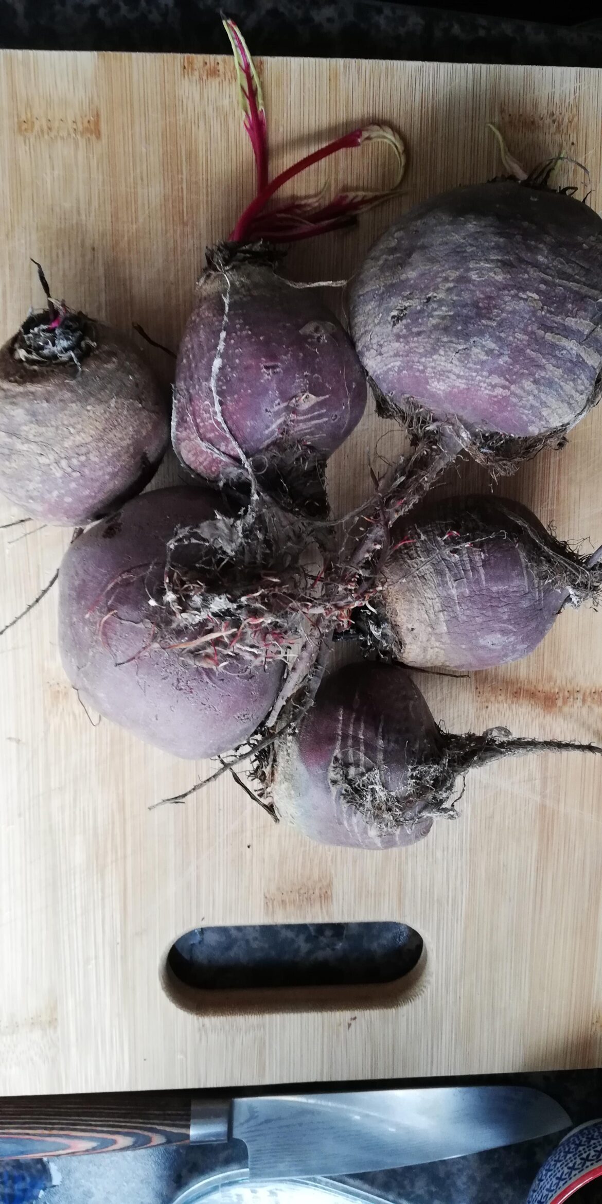 Are my beets safe to cook? Or have they gone bad?