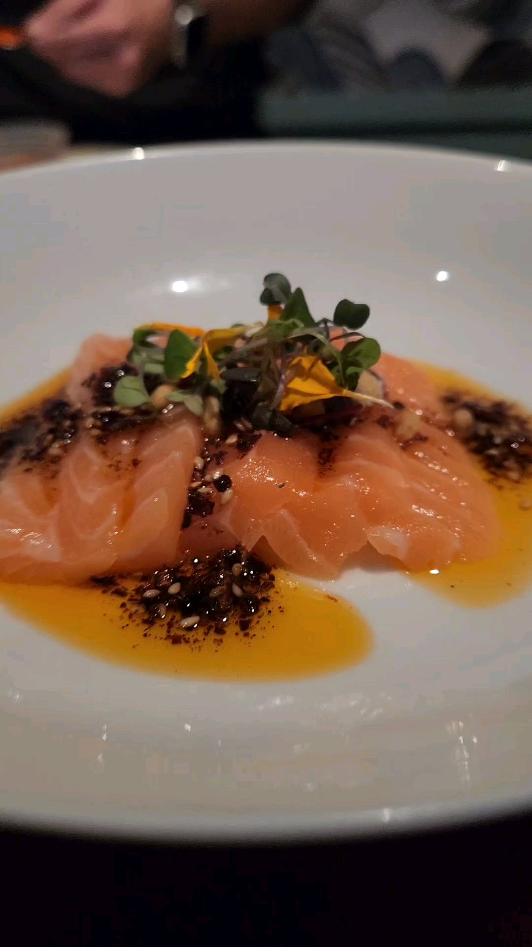 Sushi fusion from LUVI in New Orleans Dining and Cooking