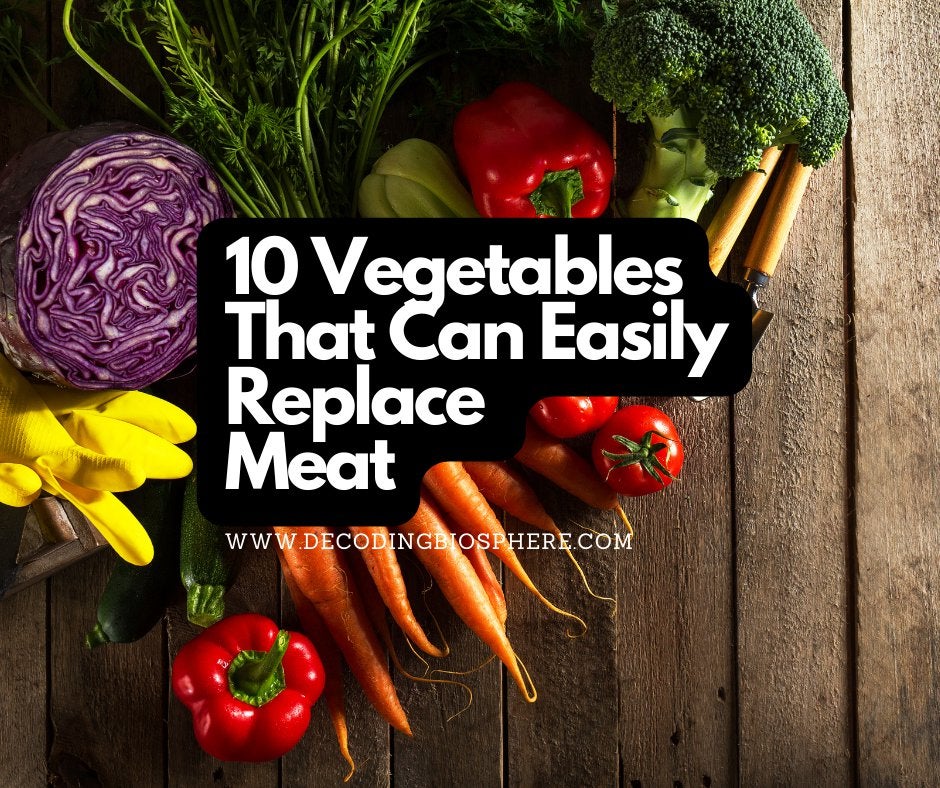 10 Vegetables That Can Easily Replace Meat Dining and Cooking