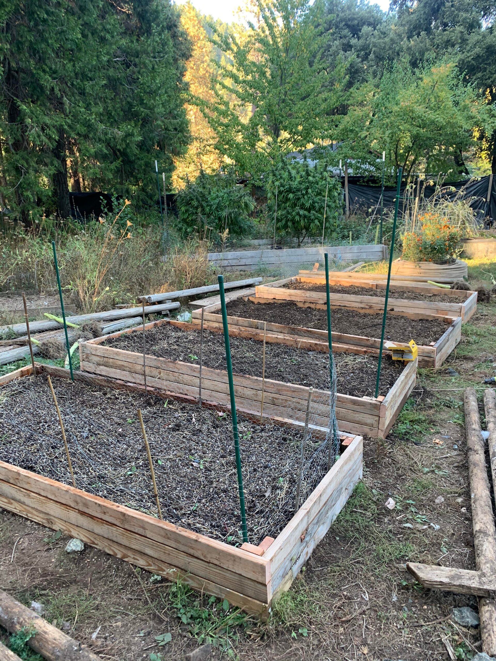 Four new 4x10 raised beds (recycled materials) Dining and Cooking