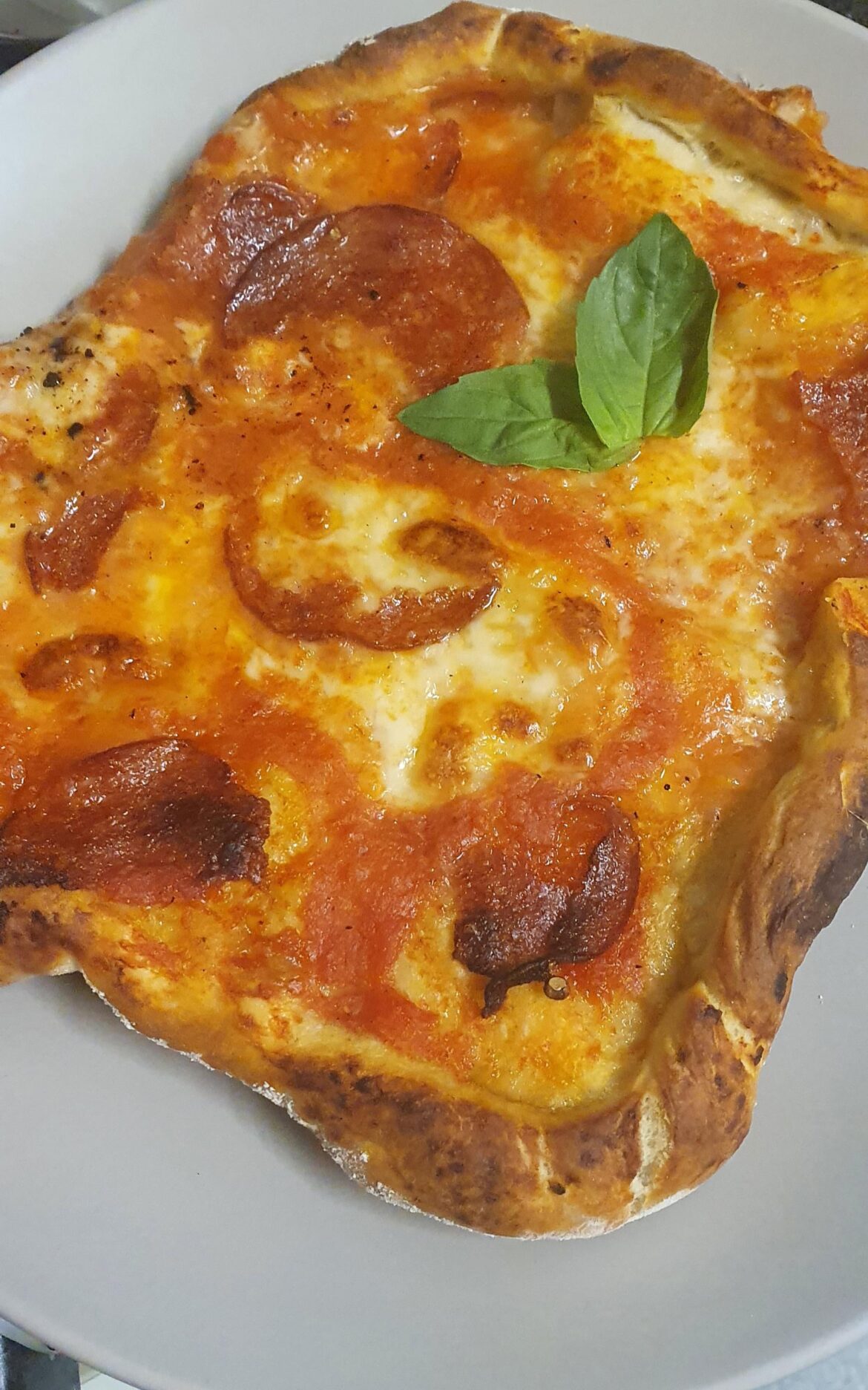 My first ever attempt at a pepperoni pizza (oc)