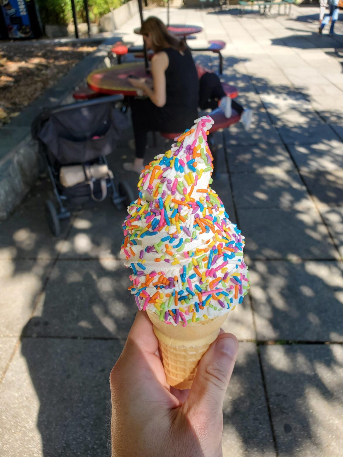 Simple but satisfying Zoo ice cream.