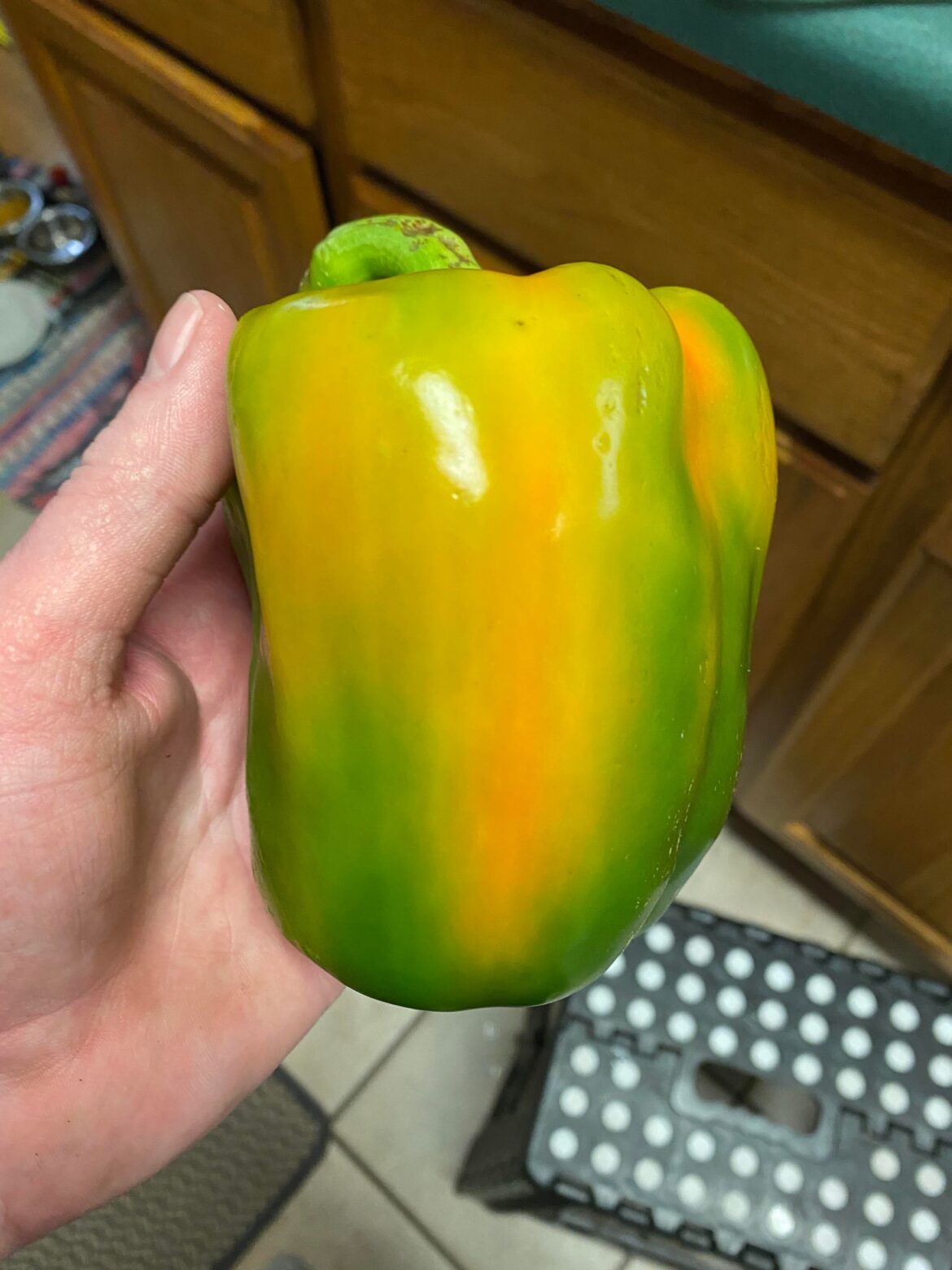 I bought this green pepper two days ago. What happened?