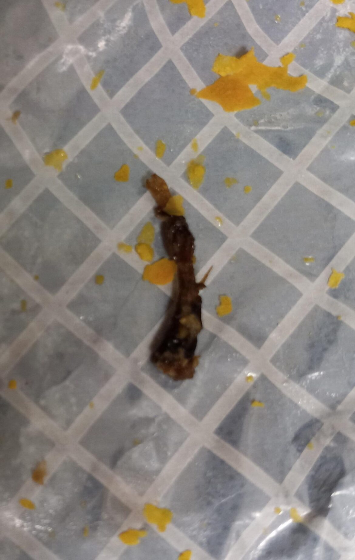 Can anyone tell me what I pulled out of my fake Jamaican beef patty? it's stressing me out pls tell me it's a spice or something