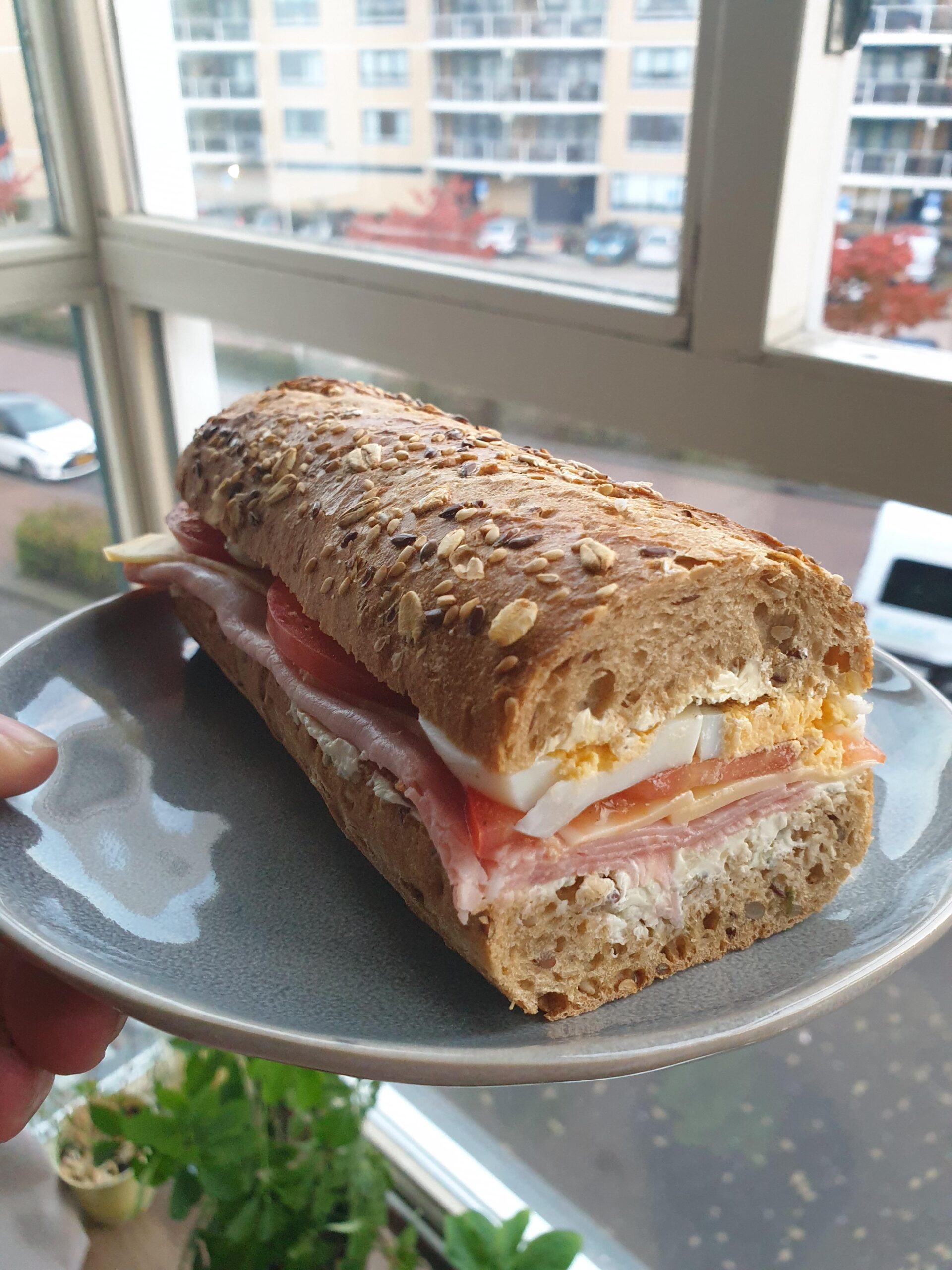 Tomato gouda cheese egg and ham Dining and Cooking