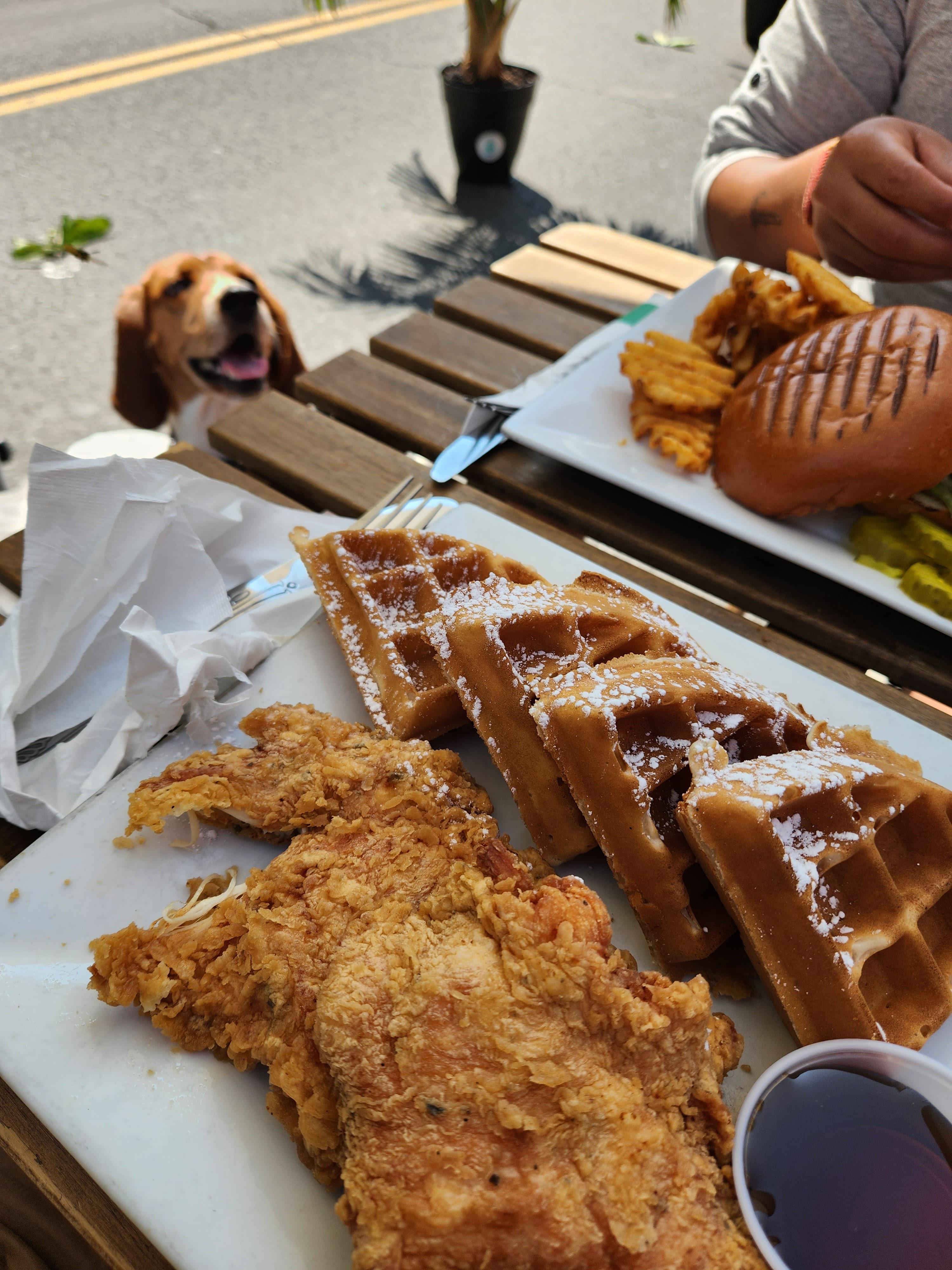 Chicken and waffles for an outdoor brunch in Brooklyn Dining and Cooking