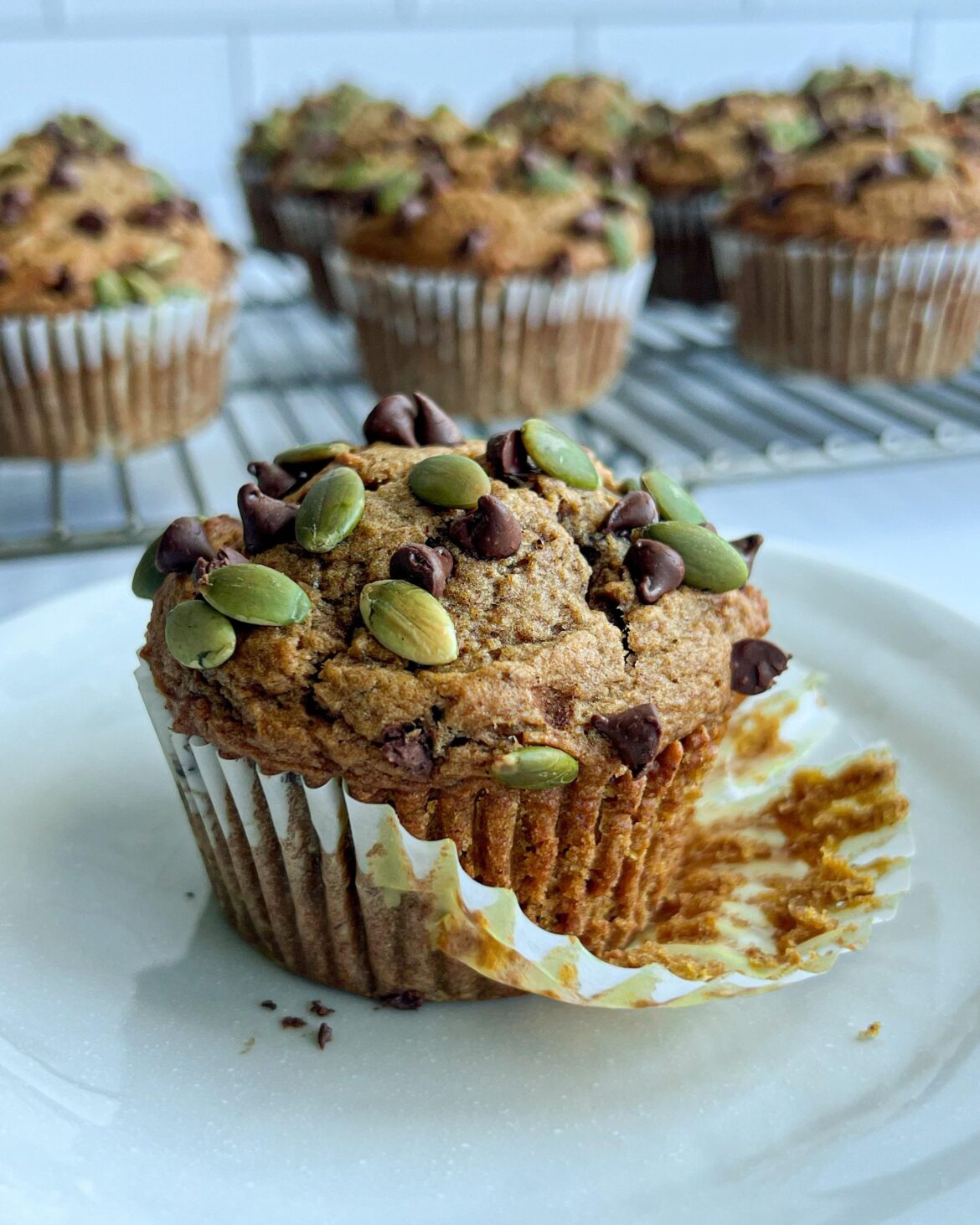 Pumpkin Chocolate Chip Muffins