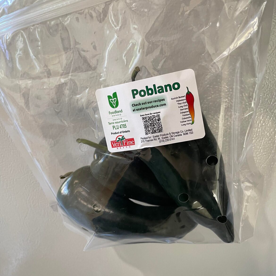 My neighbour gave me a bag of poblano peppers. Any recipe ideas? I’ve never cook with these and would love an authentic recipe.