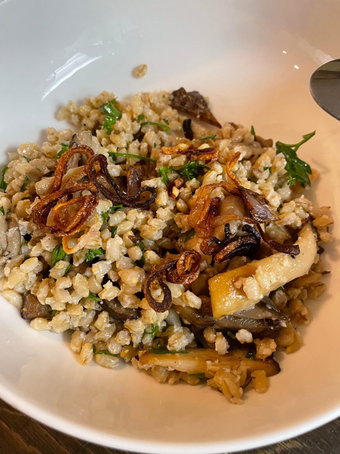 Pearl Barley with wild mushrooms