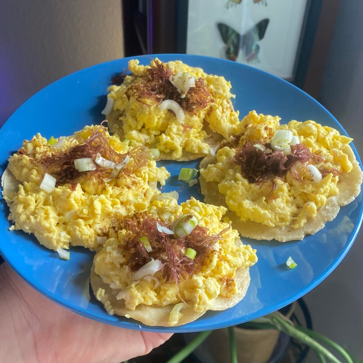 3 eggs mixed with 2 tbsp Salvadoran cream, scrambled on low heat in 0.5 tbsp ghee, on freshly made corn tortillas. Topped with raw (farmed, washed) ogo, green onion, Hawaiian salt, MSG, and 5 spice.