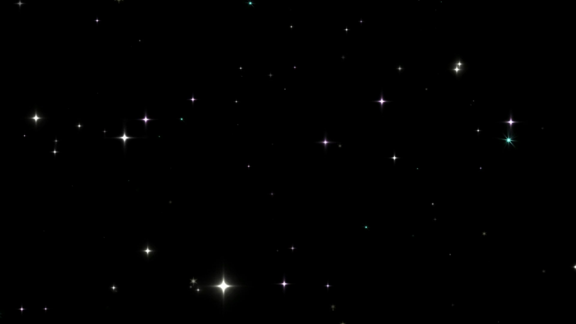 Happy Thanksgiving to Vegetables everywhere.