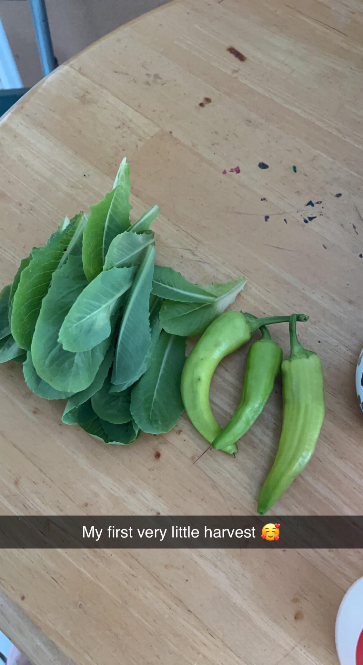 My first very small harvest.
