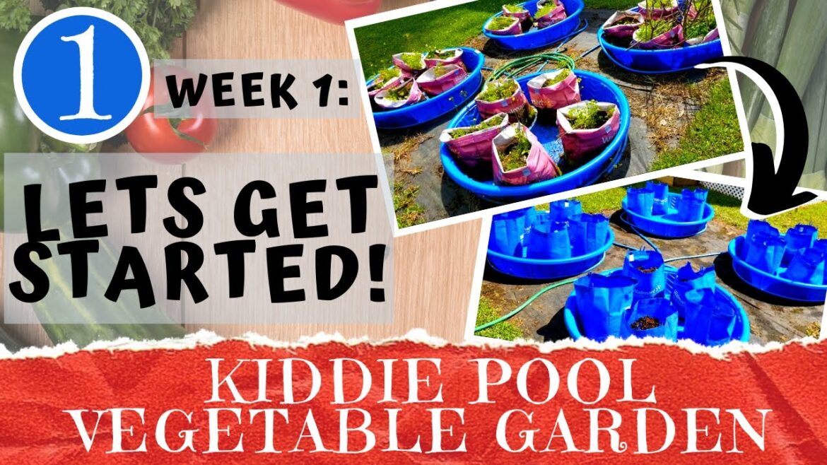 KIDDIE POOL VEGETABLE GARDEN – Week 1: Site Setup & Soil Preparation | Container Gardening | DIY KIDDIE POOL VEGETABLE GARDEN - Week 1: Site Setup & Soil Preparation | Container Gardening | DIY