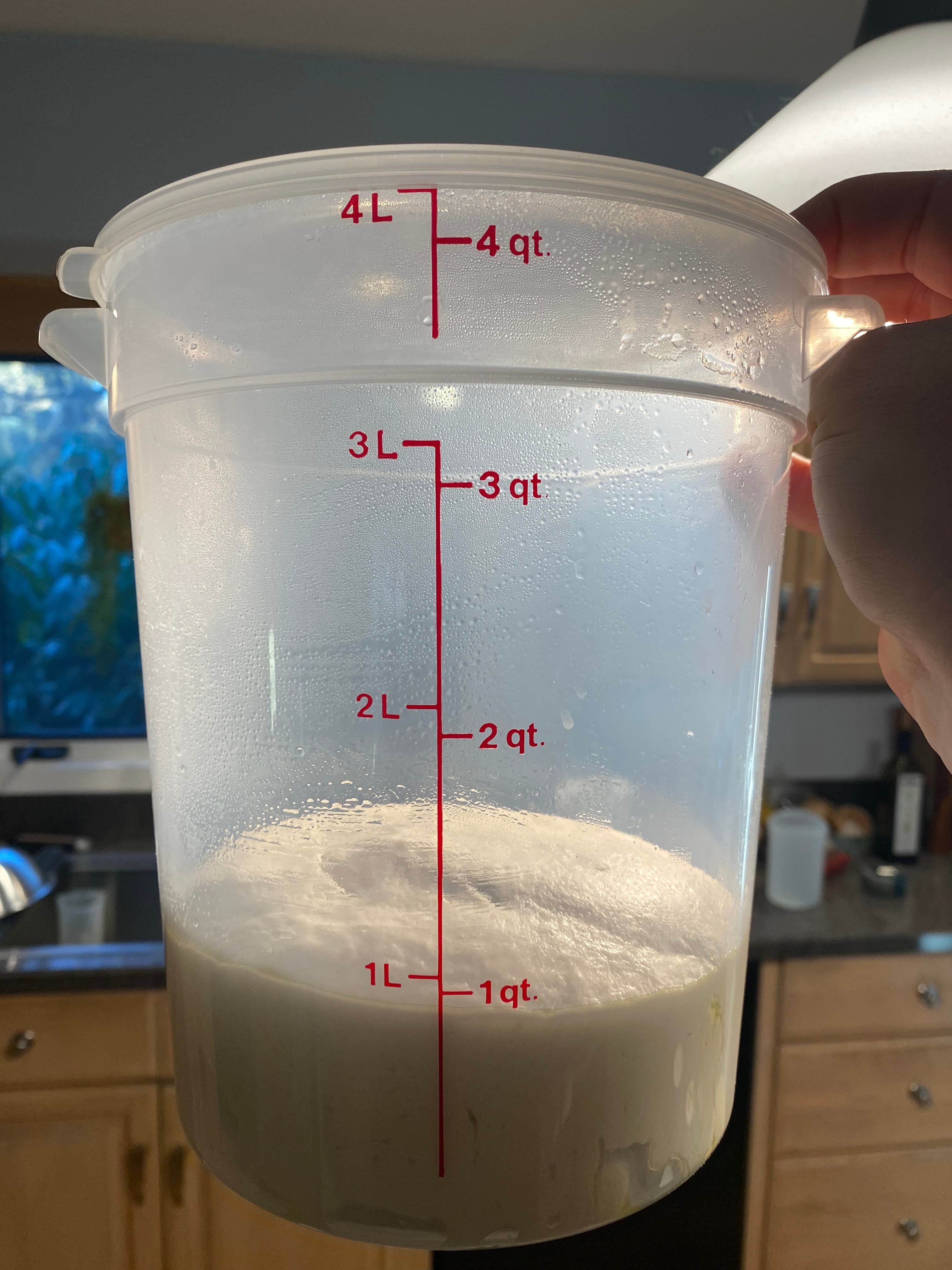 dough didn’t rise overnight. is it fixable? Dining and Cooking