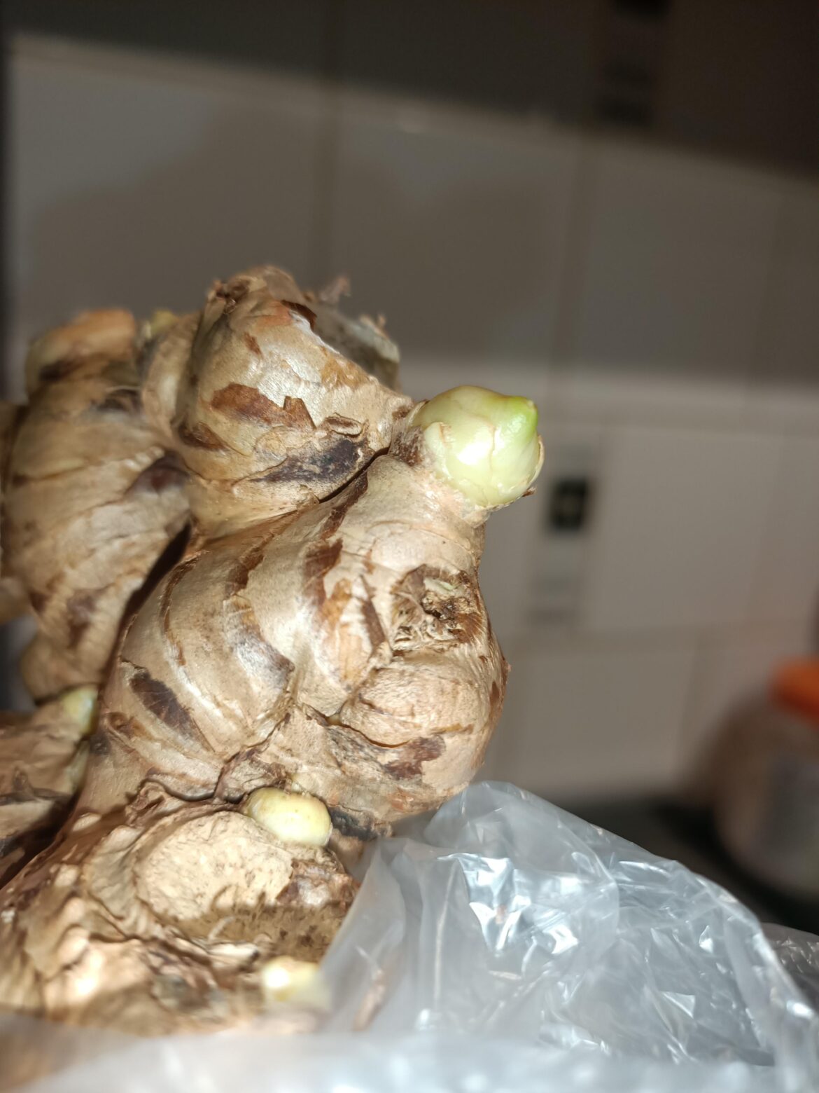 What should I do with this budding ginger?