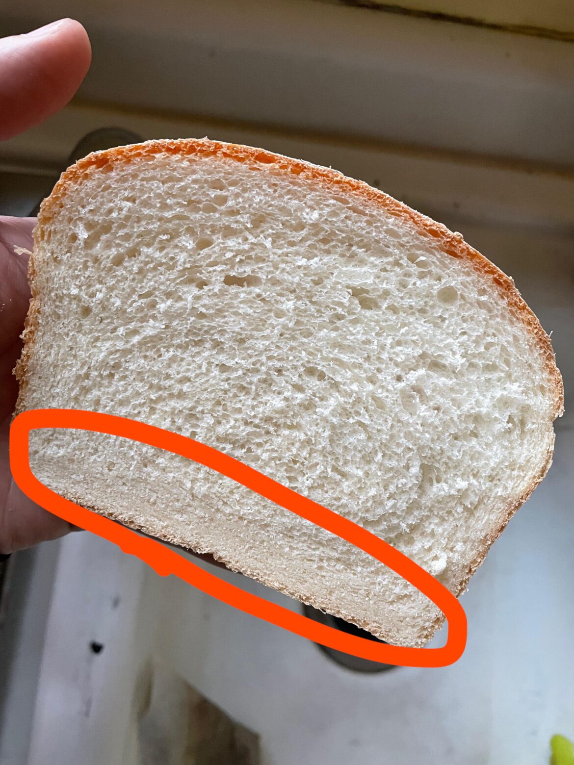 Dense crumb at the bottom of loaf?