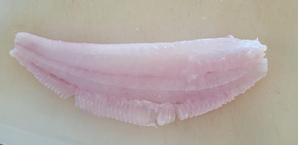 Fresh Flounder