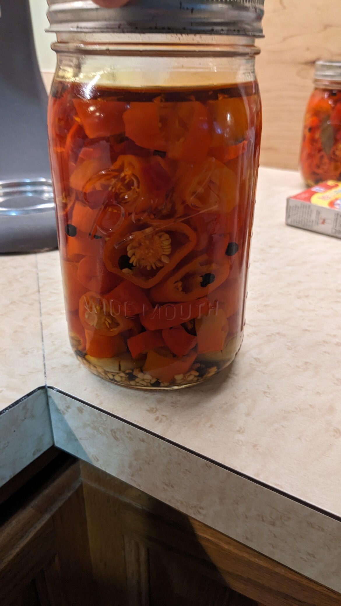 Pickled long hots, first time