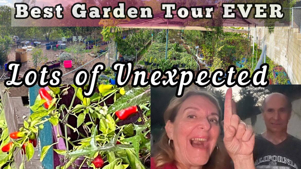 FULL Winter Garden Tour Like NO Other! Container Gardening Growing Vegetables Vertical Kale Eggplant