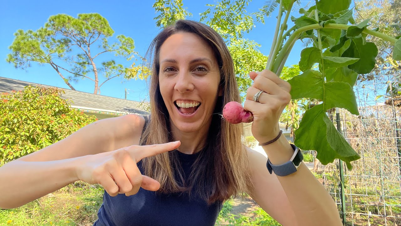 The Best Vegetables to Plant in January in Florida Dining and Cooking