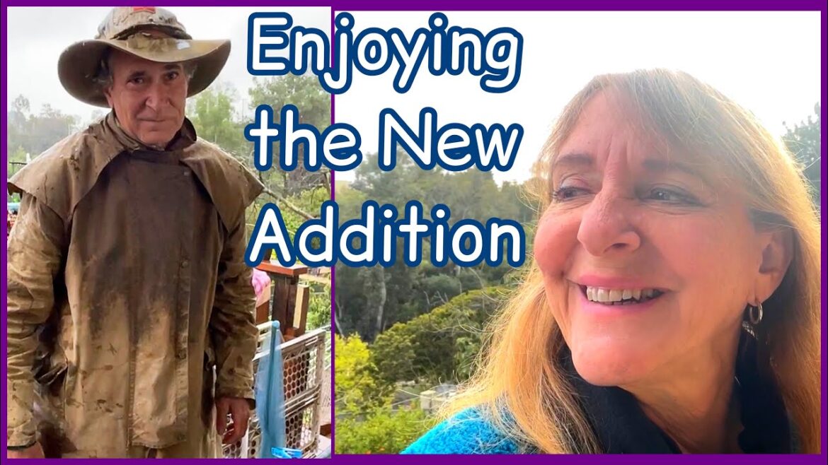 New Deck Garden LANDING See What’s Growing Winter Vegetable Gardening Update & Thoughts on Terrace New Deck Garden LANDING See What’s Growing Winter Vegetable Gardening Update & Thoughts on Terrace