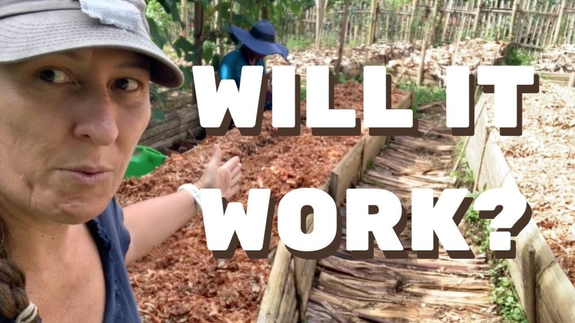 025 | Experimenting with Syntropic Agricultural Methods in my Vegetable Garden