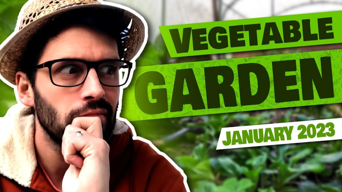 VEGETABLE garden 2023  /// Visite du POTAGER en JANVIER