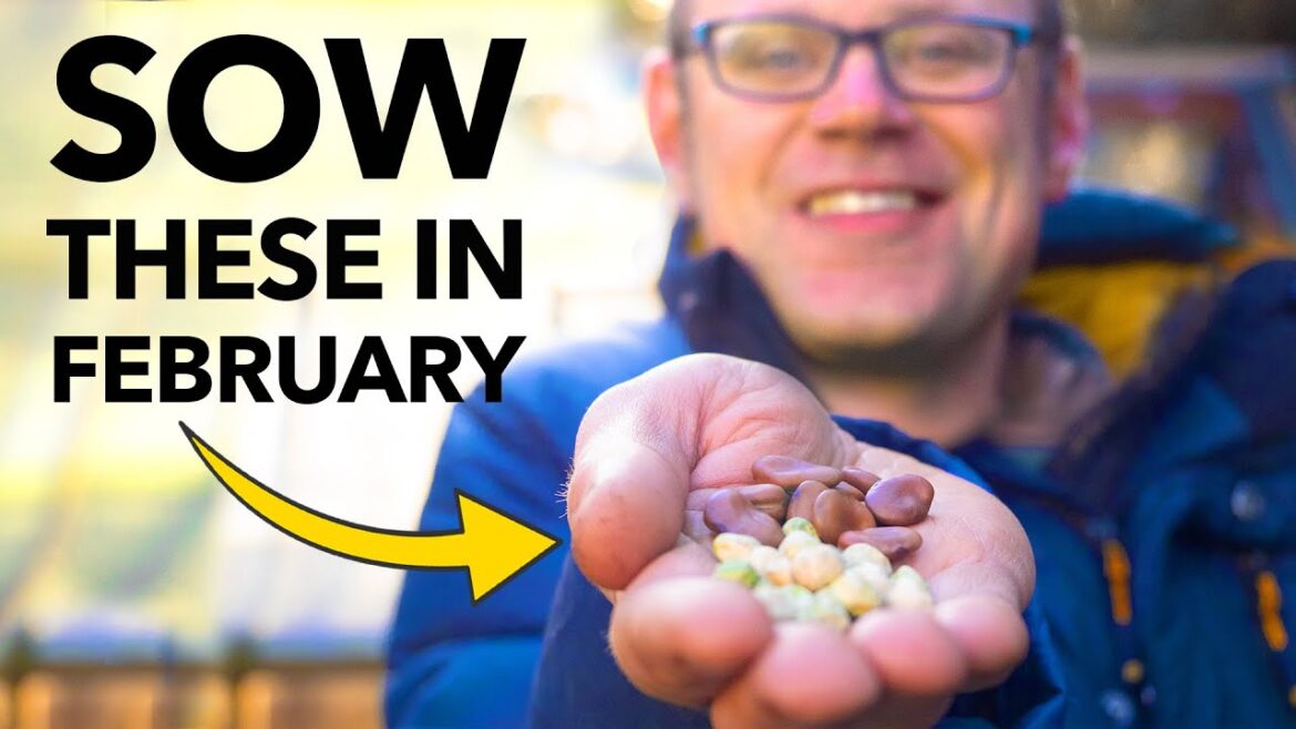 You Must Sow These Seeds in February