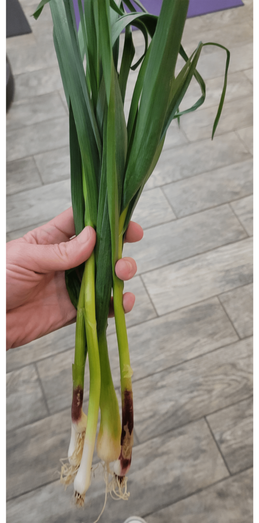 What did my partner buy instead of green onions?