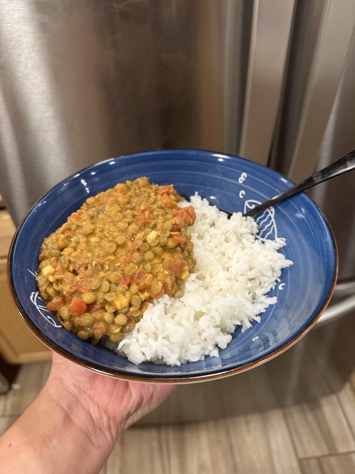 Dal Nirvana (lentil stew)