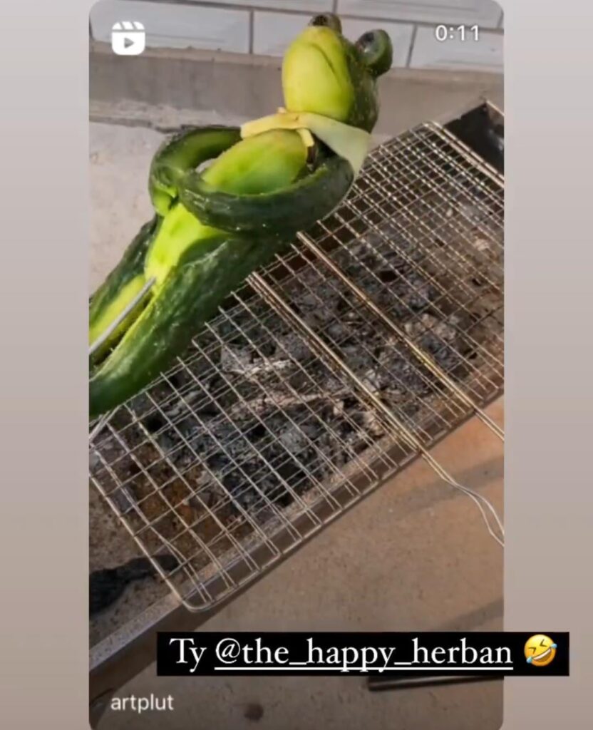 When a vegetarian hosts a barbecue (not my OC)