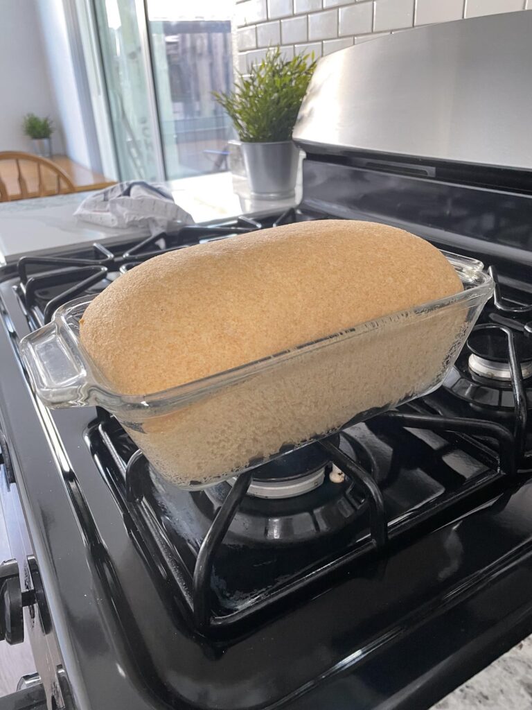 Whole wheat sandwich loaf