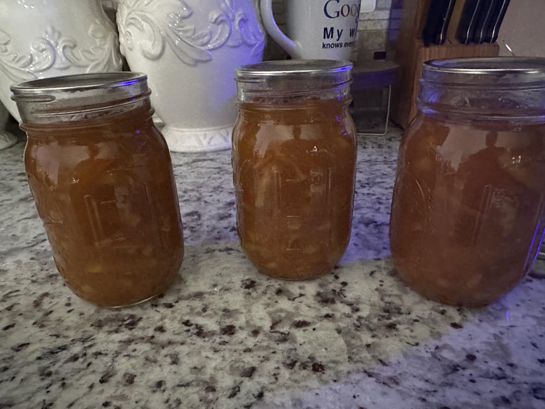 Help, how to tell if waterbath canning worked? Dining and Cooking