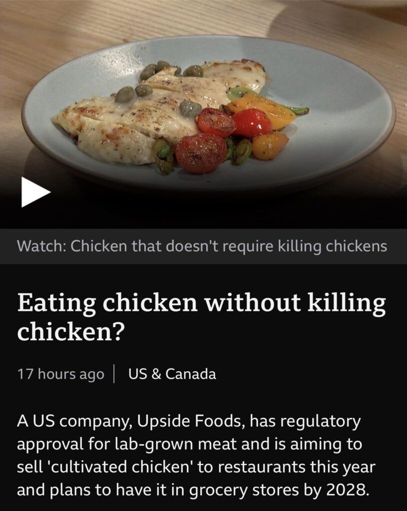 Would you eat lab grown meat?