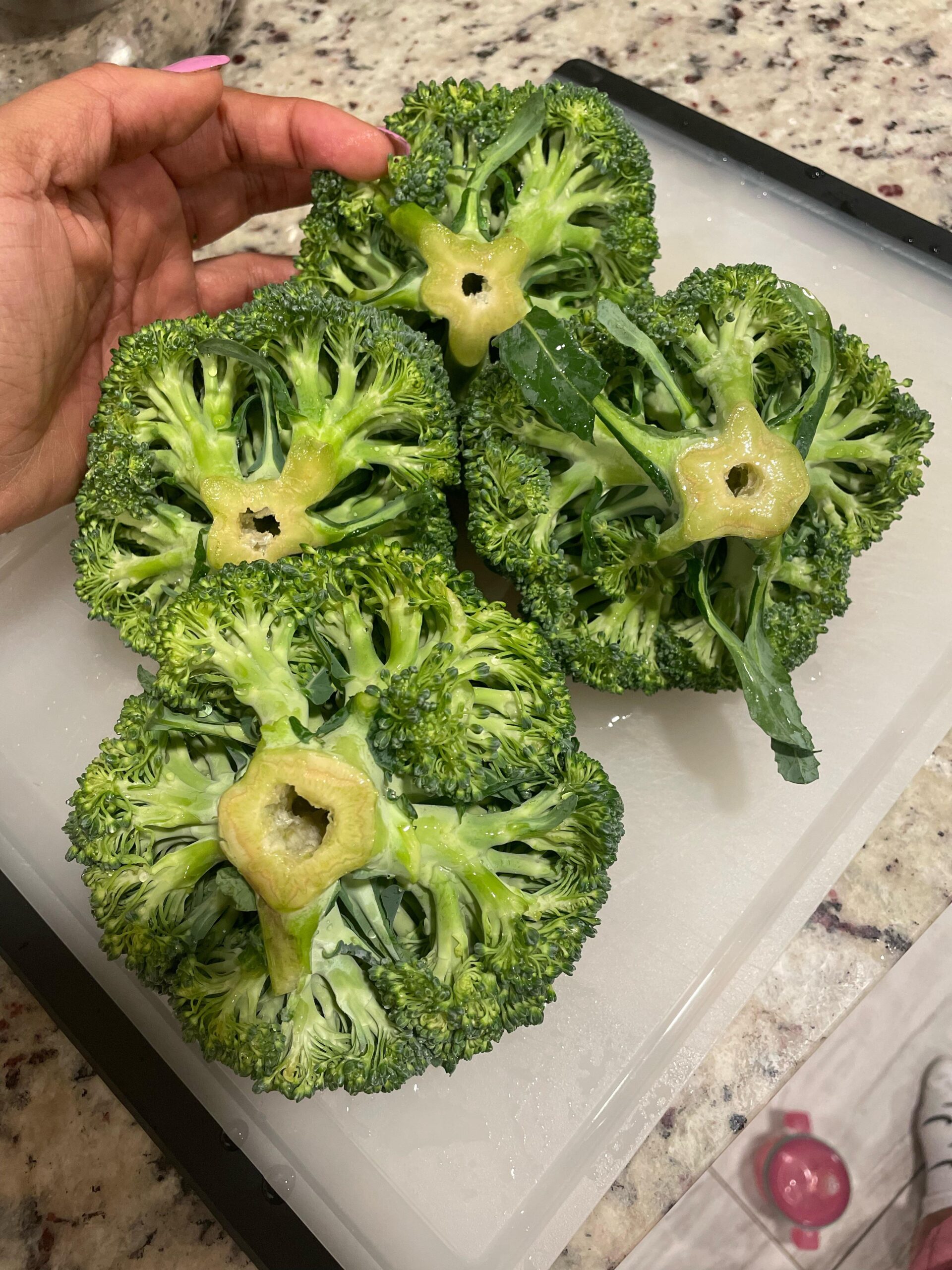 What are these holes in the stalks of my broccoli? Dining and Cooking