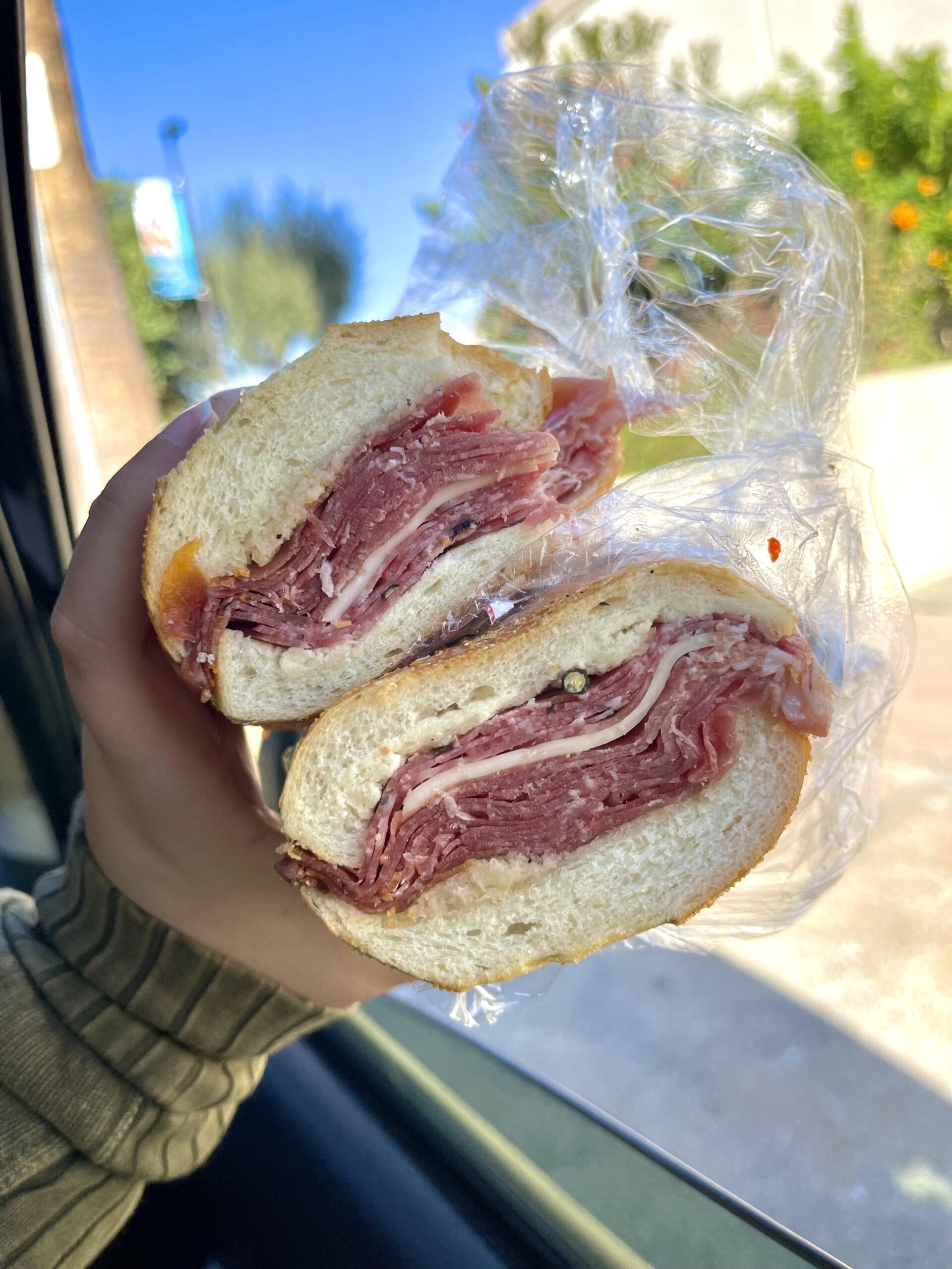 Prosciutto, sweet soppressata, provolone, and oil dressing. Dining