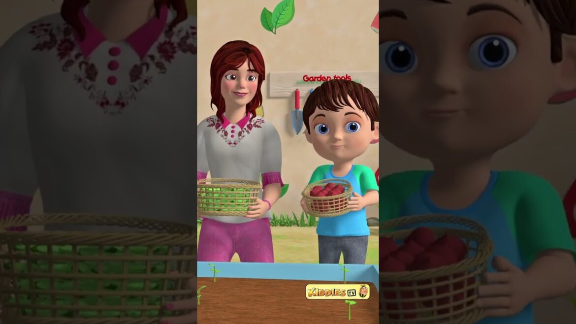 My Vegetable Garden short nursery song for kids | Kids song | Song for children | Kiddiestv