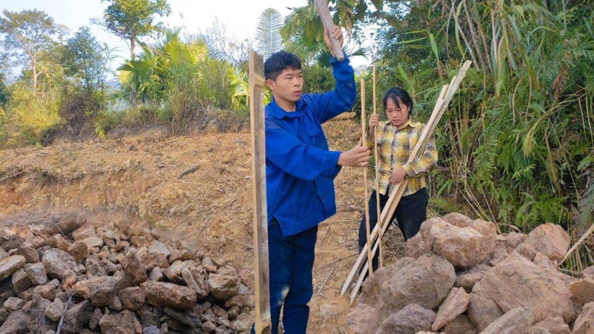 Gardening and growing vegetables in early spring, Phuc and Sua's daily work