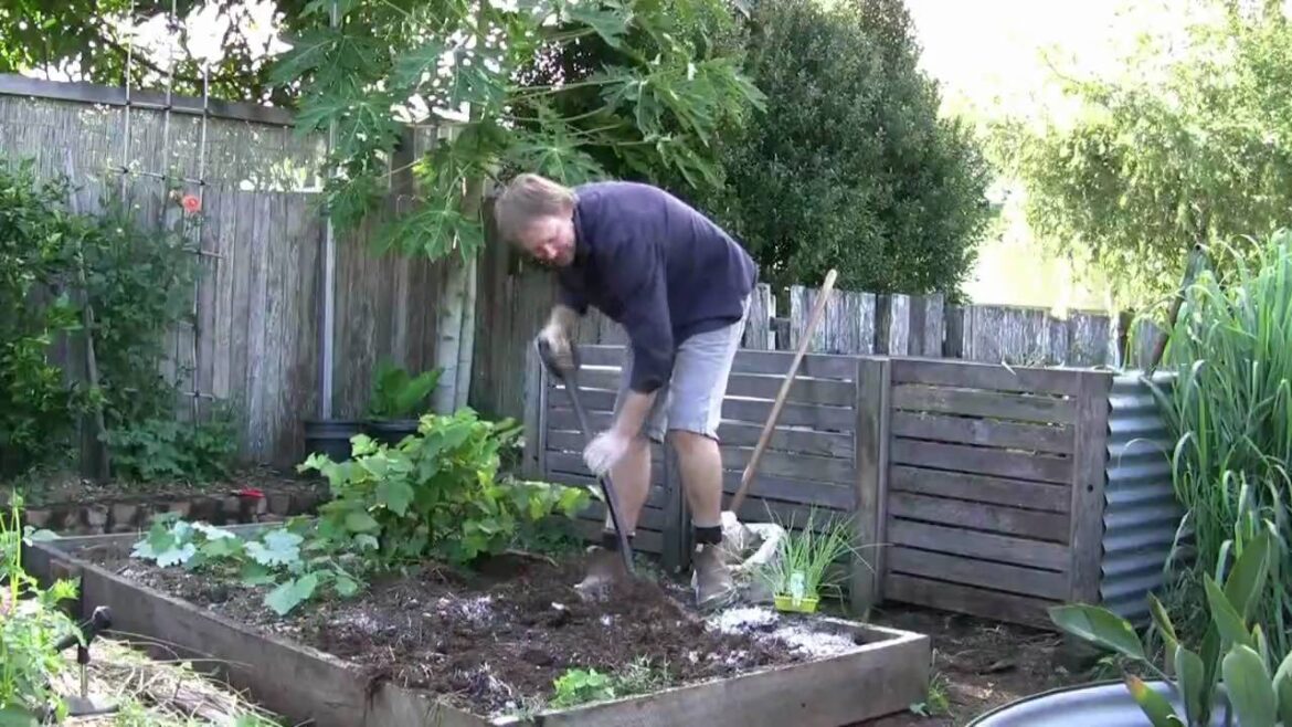 Vegetable Gardening: Growing Onions - How to Grow Onions