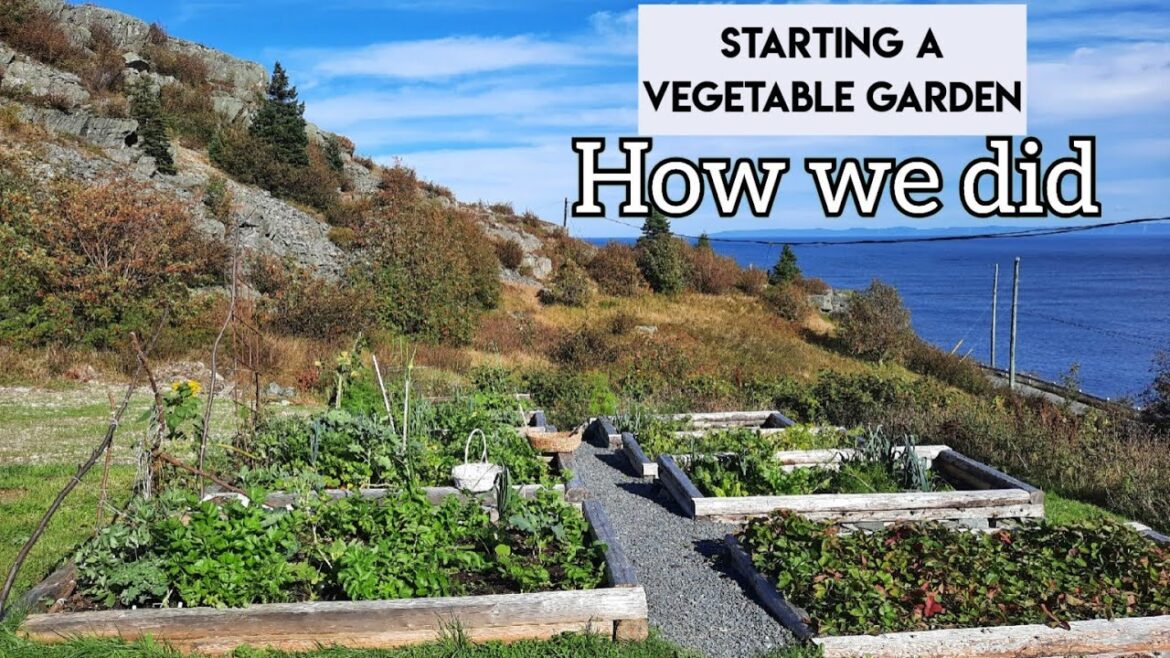 Starting a vegetable garden: A look back at how we did ours. Newfoundland gardening Starting a vegetable garden: A look back at how we did ours. Newfoundland gardening