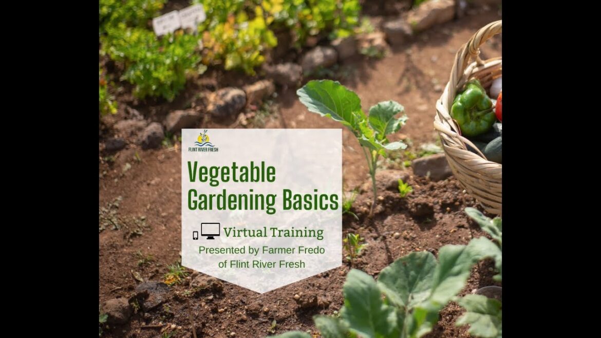 VEGETABLE GARDEN BASICS   OVERVIEW FOR GROWING IN SW GEORGIA