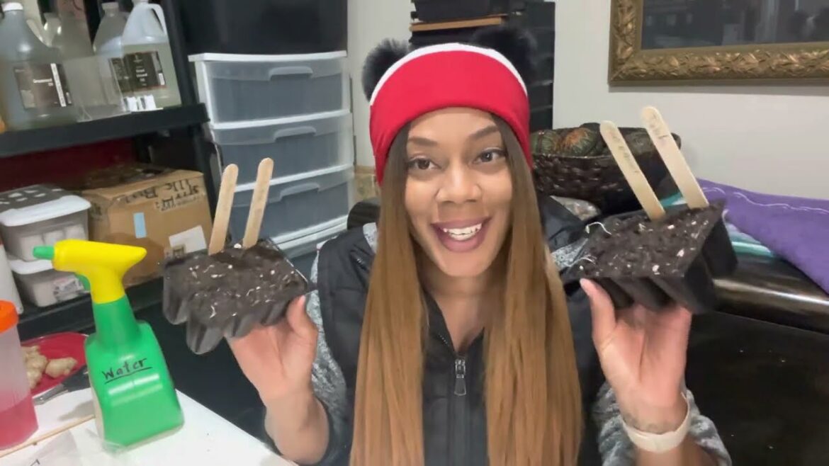 Starting Seeds Indoors For Vegetable Garden 2023 Growing A Ton Of Tomatoes