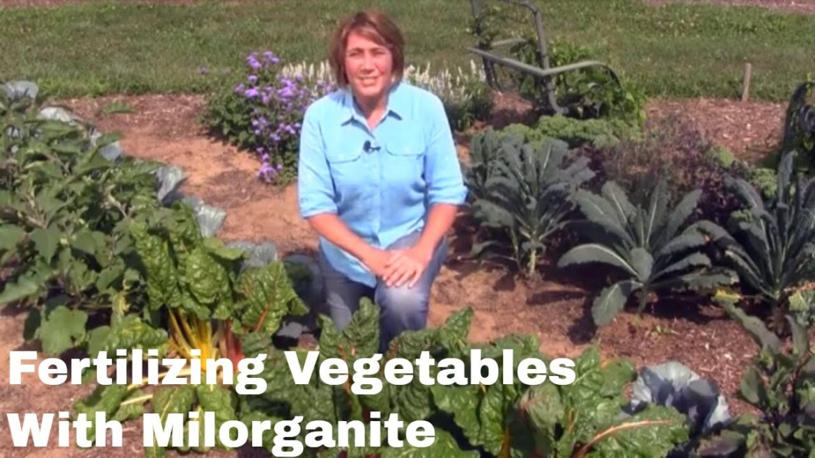 How to Fertilize Your Vegetable Garden with Milorganite