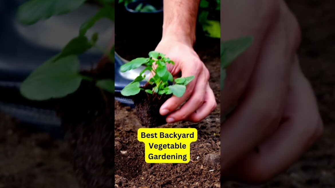Best Backyard Vegetable Gardening: Grow Your Own Fresh Veggies!