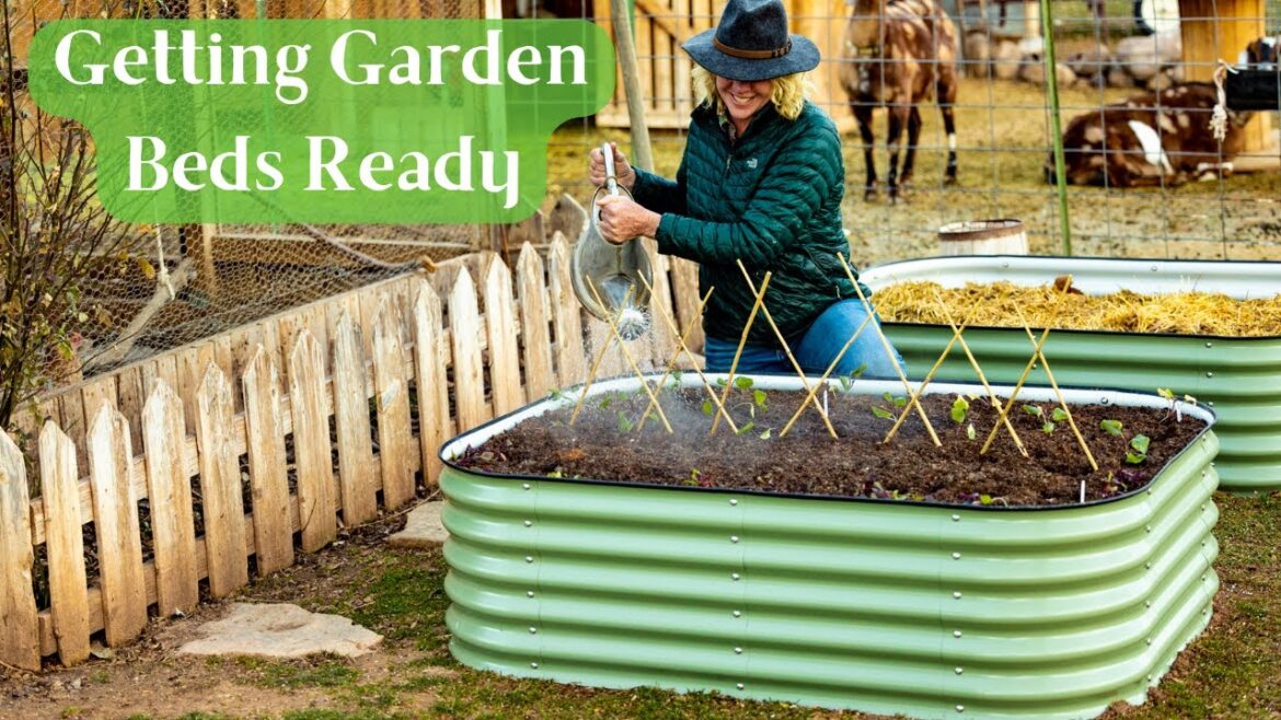 Staring a New Vegetable Garden Raised Bed | Amending Beds
