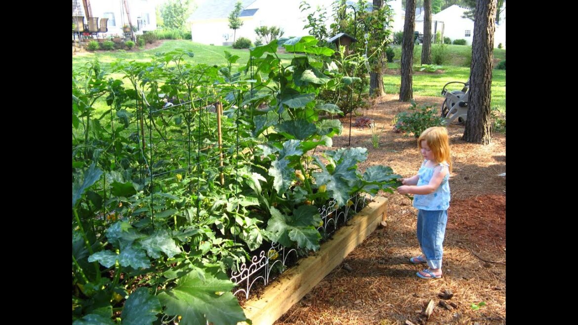 2023 Gardening in the Panhandle LIVE! Small Scale Vegetable Gardening